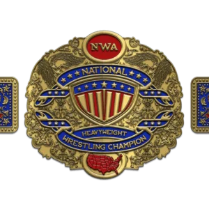 Custom Design Championship Belt - Image 1