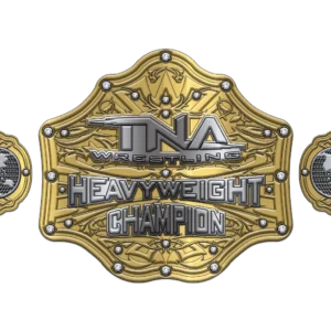 Custom Design Championship Belt - Image 1