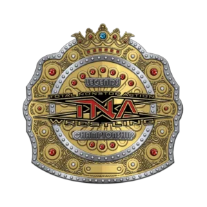 Custom Design Championship Belt - Image 1