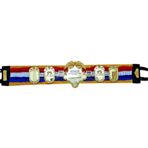 RING MAGAZINE BOXING Title Belt - Image 2