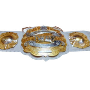 IWGP INTERCONTINENTAL DOUBLE STACKED BRASS Championship Belt - Image 2