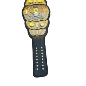 AEW Heavyweight Championship Belt 24K Gold Replica - Image 2