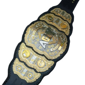 AEW Heavyweight Championship Belt 24K Gold Replica - Image 3