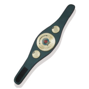 IBO INTERNATIONAL BOXING ORGANIZATION Title Belt - Image 4