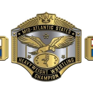 Custom Design Championship Belt - Image 1