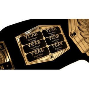 Fantasy Football Championship Belt | Trophy Smack - Image 2