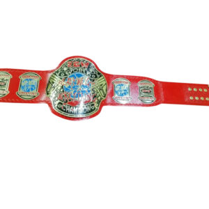ECW WORLD HEAVYWEIGHT RED Brass Championship Belt - Image 2