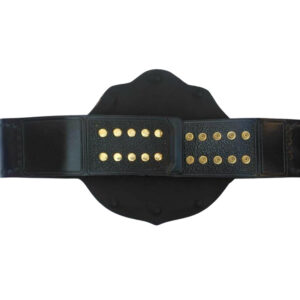 WCW BIG GOLD Zinc Championship Belt - Image 2