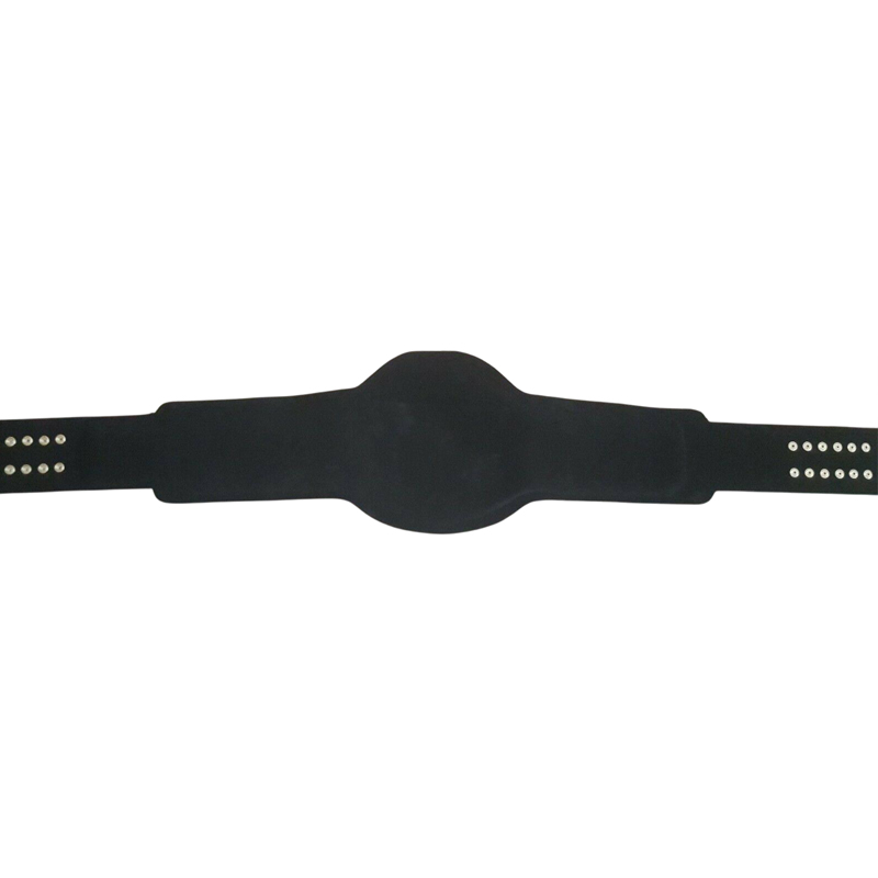WCW WORLD HEAVYWEIGHT Brass Championship Belt - Image 3
