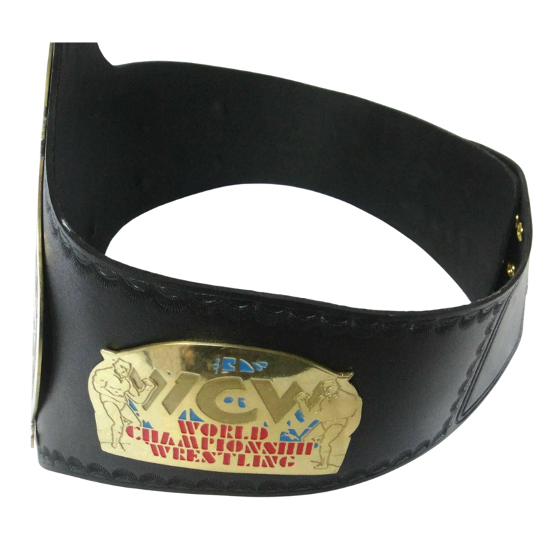 WCW WORLD TAG TEAM Brass Championship Belt - Image 3