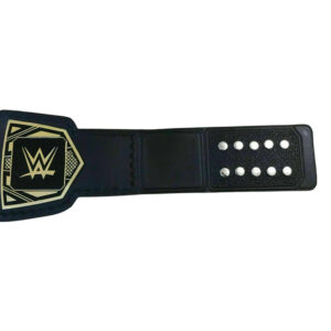 WWE NXT TAG TEAM Brass Championship Belt - Image 3