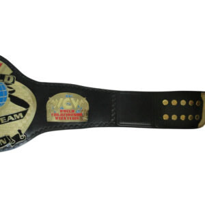 WCW WORLD TAG TEAM Brass Championship Belt - Image 4