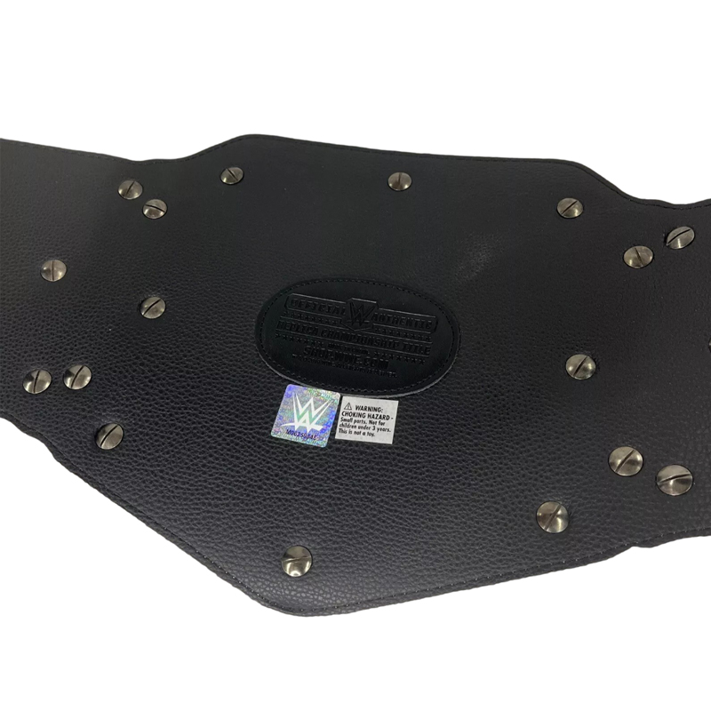 WWE RAW WOMENS Zinc Championship Belt - Image 4