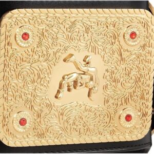 WCW nWo Spray Paint World Heavyweight Championship Belt - Image 3