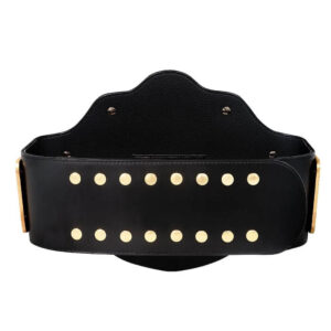 WCW nWo Spray Paint World Heavyweight Championship Belt - Image 4