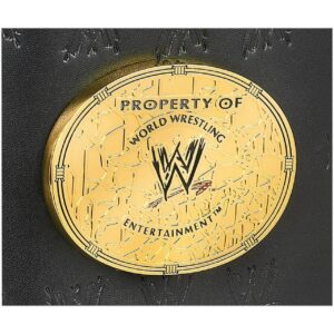 WWF World Heavyweight Championship Attitude Era Women’s Belt - Image 7