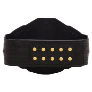 WWE NXT Championship Replica Title Belt - Image 4