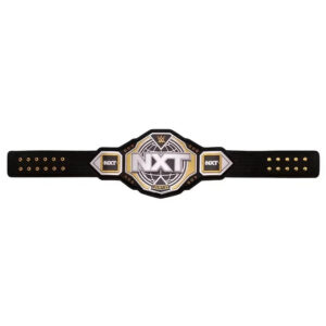 WWE NXT Championship Replica Title Belt - Image 7