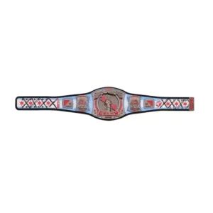 CM Punk WWE Championship Replica Belt – Spinner Title, Brass Plates, Genuine Leather Strap - Image 2
