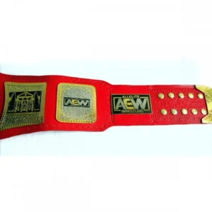 AEW TNT Wrestling Championship Belt
