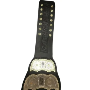 AEW World Heavyweight Wrestling Championship Belts