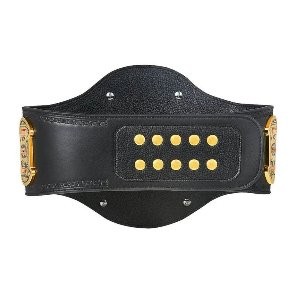 ECW World Heavyweight Championship Replica Title Belt - Image 2