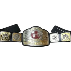 Nwa Championship replica belt