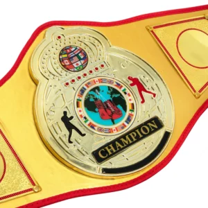 Gold Flash Title Belt
