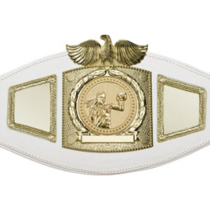 Boxing Championship belt
